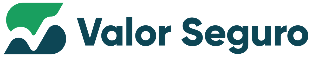 Valor Seguro